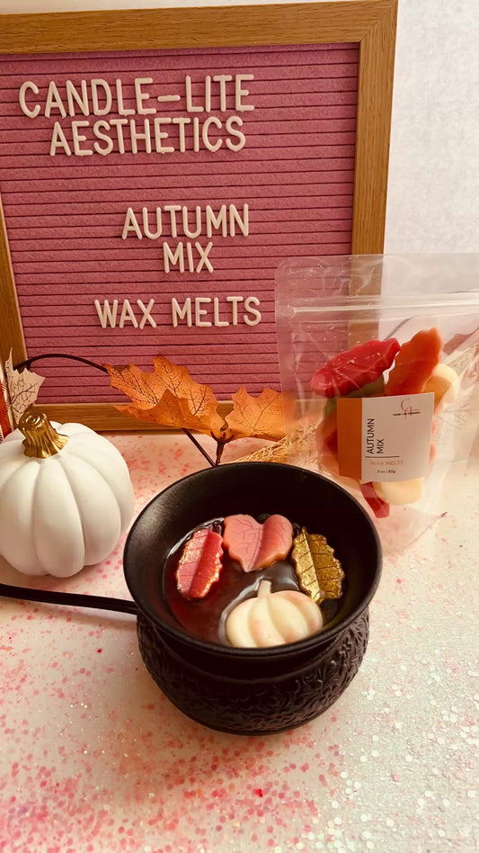 Autumn Mix Pumpkin Spice Wax Melts - 3 oz